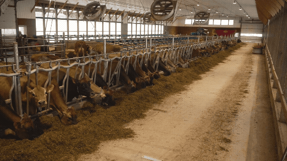 Pine Haven Farm Nova Scotia Federation of Agriculture
